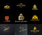 design a unique heraldic luxury monogram logo
