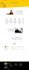 design and develop custom professional websites