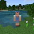 make a custom minecraft skin plus pixel art illustration