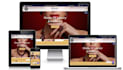 build modern wordpress websites for all type of businesses