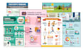 design any infographics for your brand with express delivery