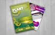 design 2 flyer designs in 12 hours
