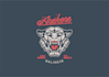 create professional illustrations and logo designs