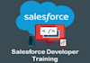 provide services of salesforce developer