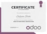 help you with odoo development implementation customization website designing