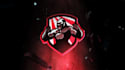 do premium quality mascot logo
