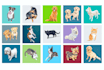 illustrate your pet in my own style