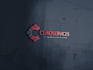 design professional business logo with branding kit