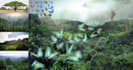 create fantasy photo manipulation and concept art photo