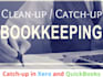 manage quickbooks online bookkeeping and netsuite accounting