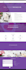 develop a fully responsive business wordpress website