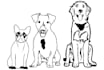 draw vector line art of any thing in 24hrs