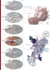 create architectural conceptual and analysis diagrams