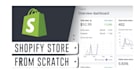 build shopify dropshipping store and shopify website