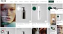 build a shopify dropshipping store or a shopify website