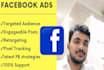 setup and manage facebook ads campaign for coaches and course creators