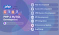 develop professional website or application in PHP and mysql