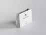 design professional paper, kraft, shopping, or carrier bag