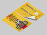 create credit score flyer, medical flyer, book launch flyer, brochure
