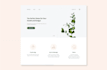 create a simple and clean wireframe website