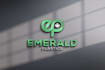 design a professional and creative logo