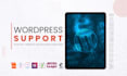 give regular wordpress support and maintenance with SEO