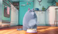 create funny cat short video ads