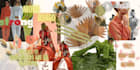 provide design consultation for your brand collection