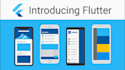 test and debug flutter app and website