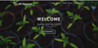 design develop and fix websites