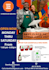 design professional flyer design for your company