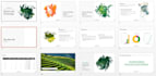 create an attractive powerpoint presentation for you