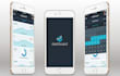 expert flutter developer for ios and android apps