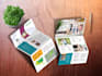 design professional and commercial brochure