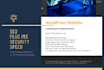 build a modern wordpress website