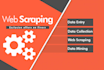 do accurate data collection,data extraction and web scraping