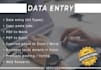 do any type of data entry,web research and copy paste 5 hour