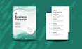 write and design professional business plan for startups