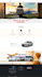 create a wordpress website or wordpress design