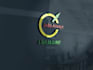 design professional  logo for you