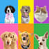 draw vector for animal or any pet in 24 hours