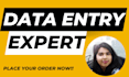 be virtual assistant for data entry, copy paste and retyping PDF tasks