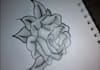 professionally sketch your ideas