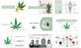 design a professional pitch deck