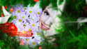 create stunning holiday style  video, christmas, new year