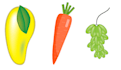 draw fruit and vegetable illustration