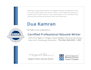 provide a professional resume in 24 hours
