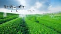 assist you in doing agriculture related tasks and projects