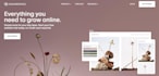 create your professional squarespace website design