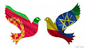 translate tigrinya and amharic to english and vice versa